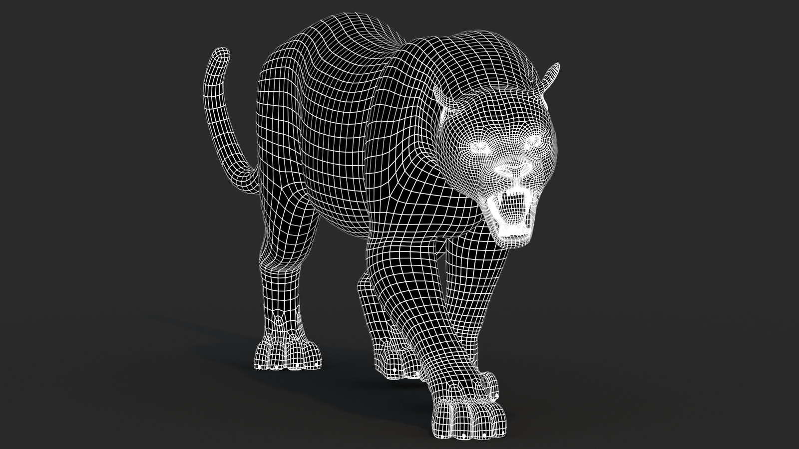 Black Panther Animal 3D Model Wireframe View 1