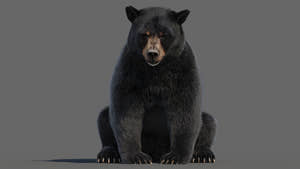 Animated Black Bear 3D Model Fur Thumbnail