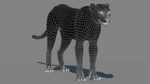Cheetah 3D Model Wireframe – Subdivision 0 Thumbnail