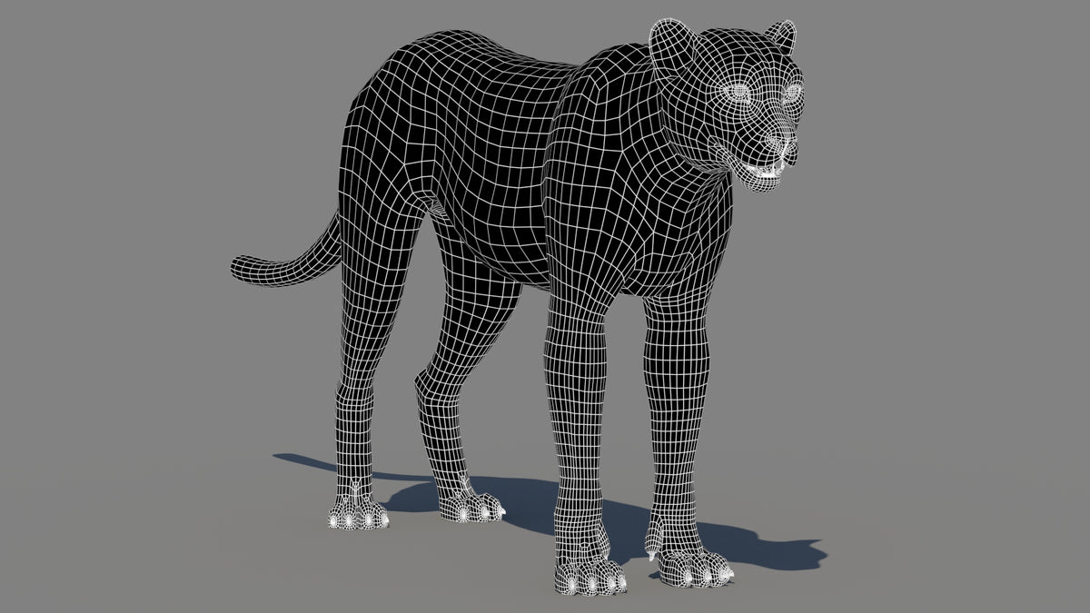 Cheetah 3D Model Wireframe – Subdivision 0