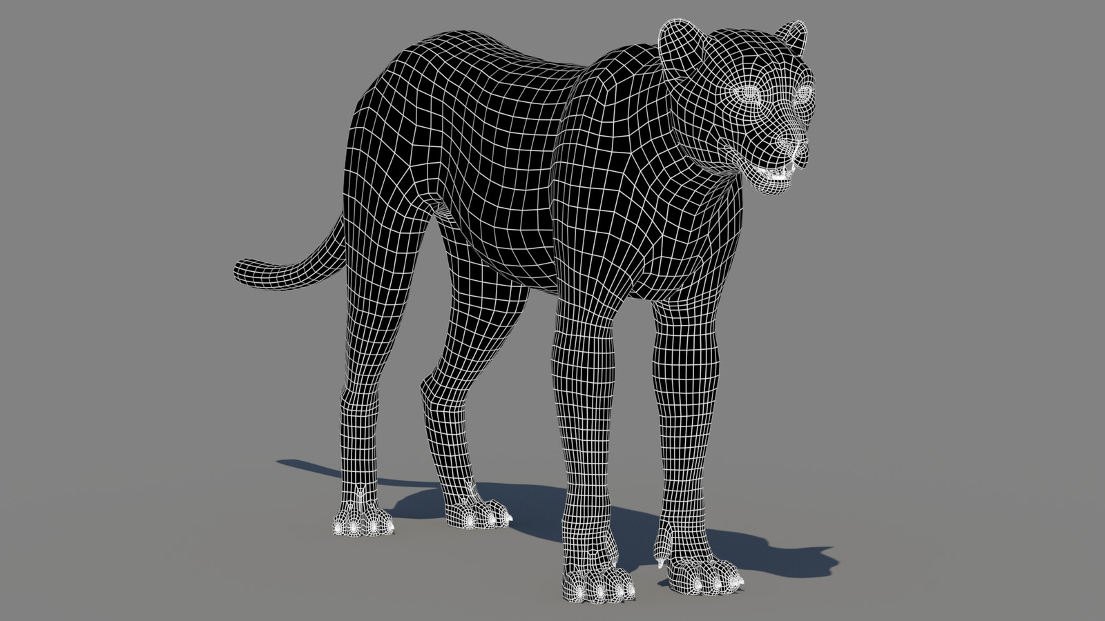 Cheetah 3D Model Wireframe – Subdivision 0