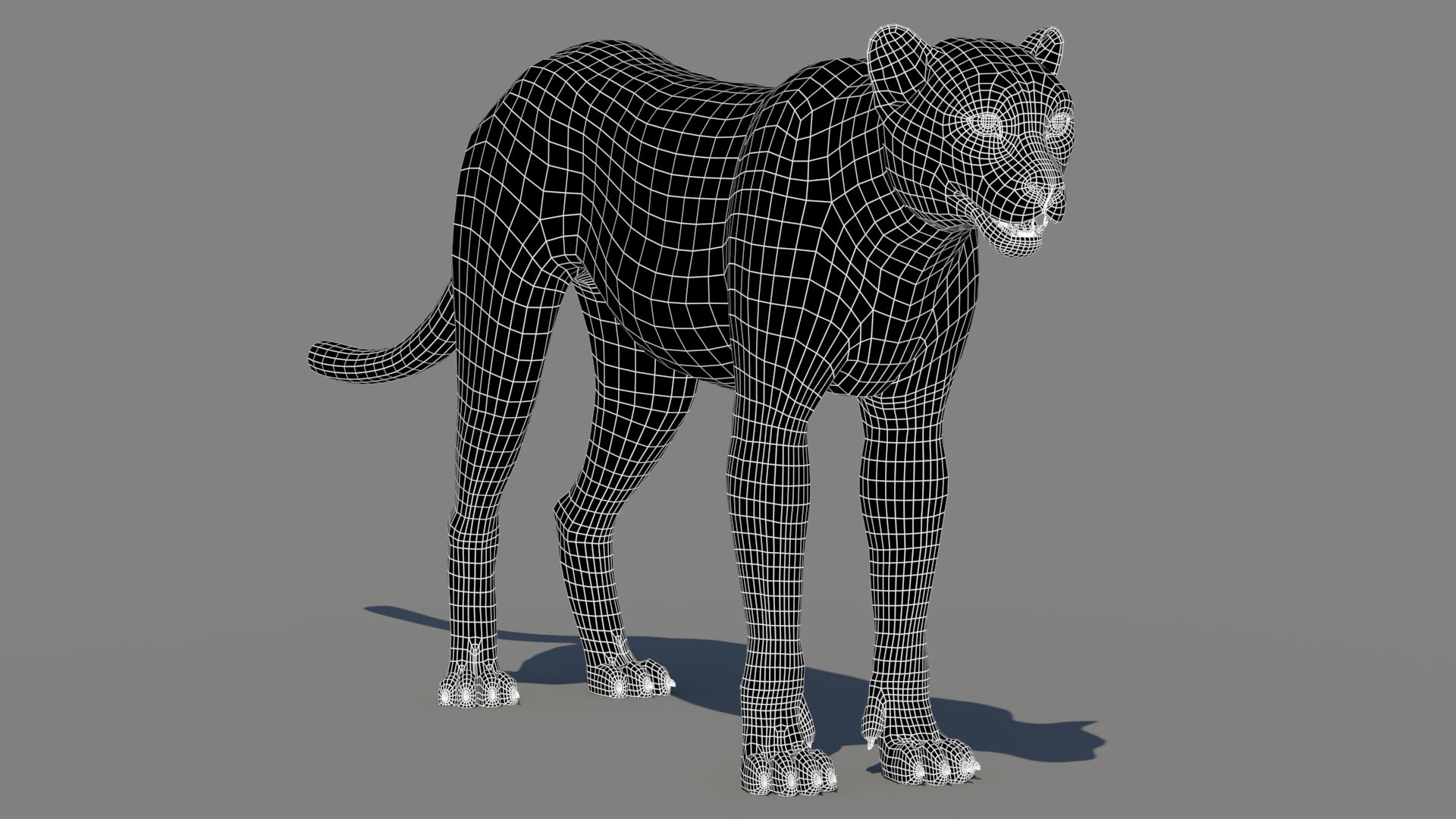 Cheetah 3D Model Wireframe – Subdivision 0