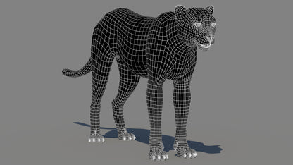 Cheetah 3D Model