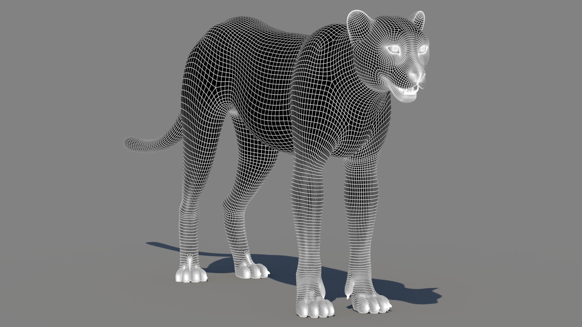 Cheetah 3D Model Wireframe – Subdivision 1