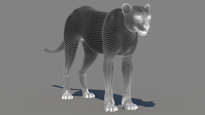 Cheetah 3D Model Wireframe – Subdivision 1 Thumbnail