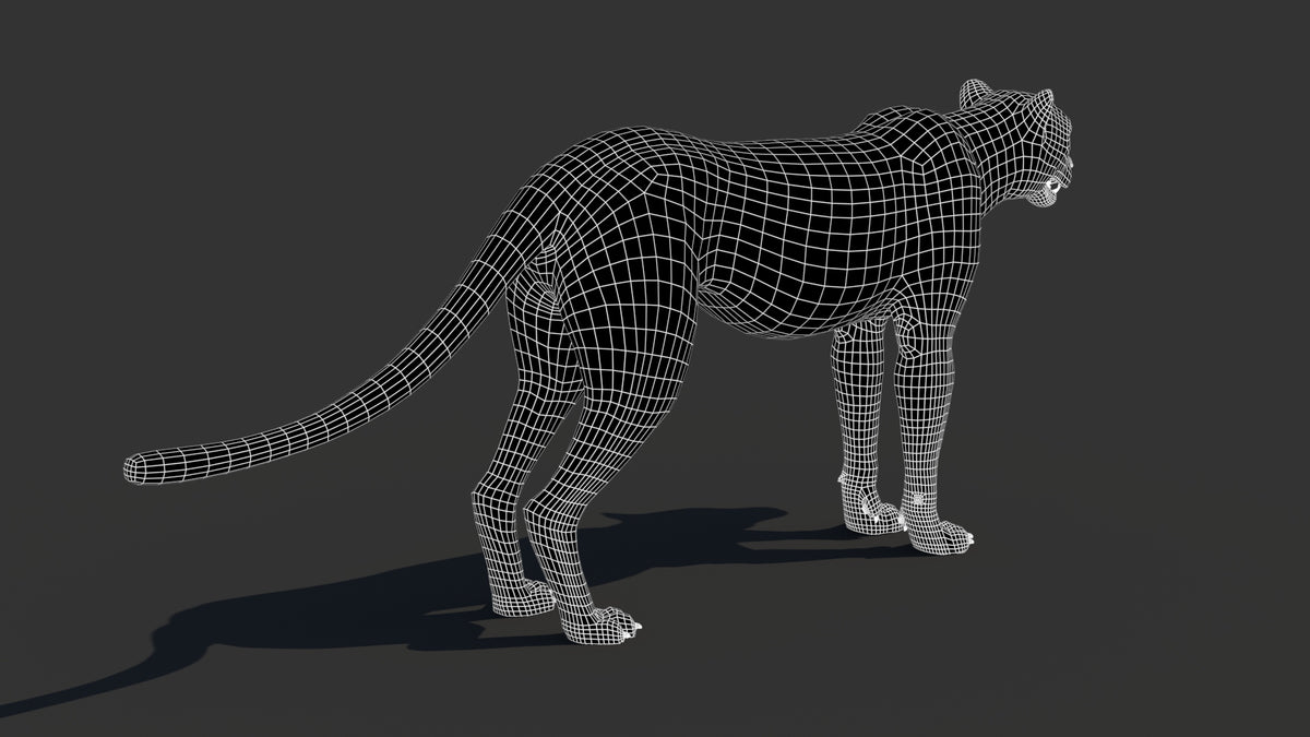 Cheetah 3D Model Wireframe – Subdivision 0