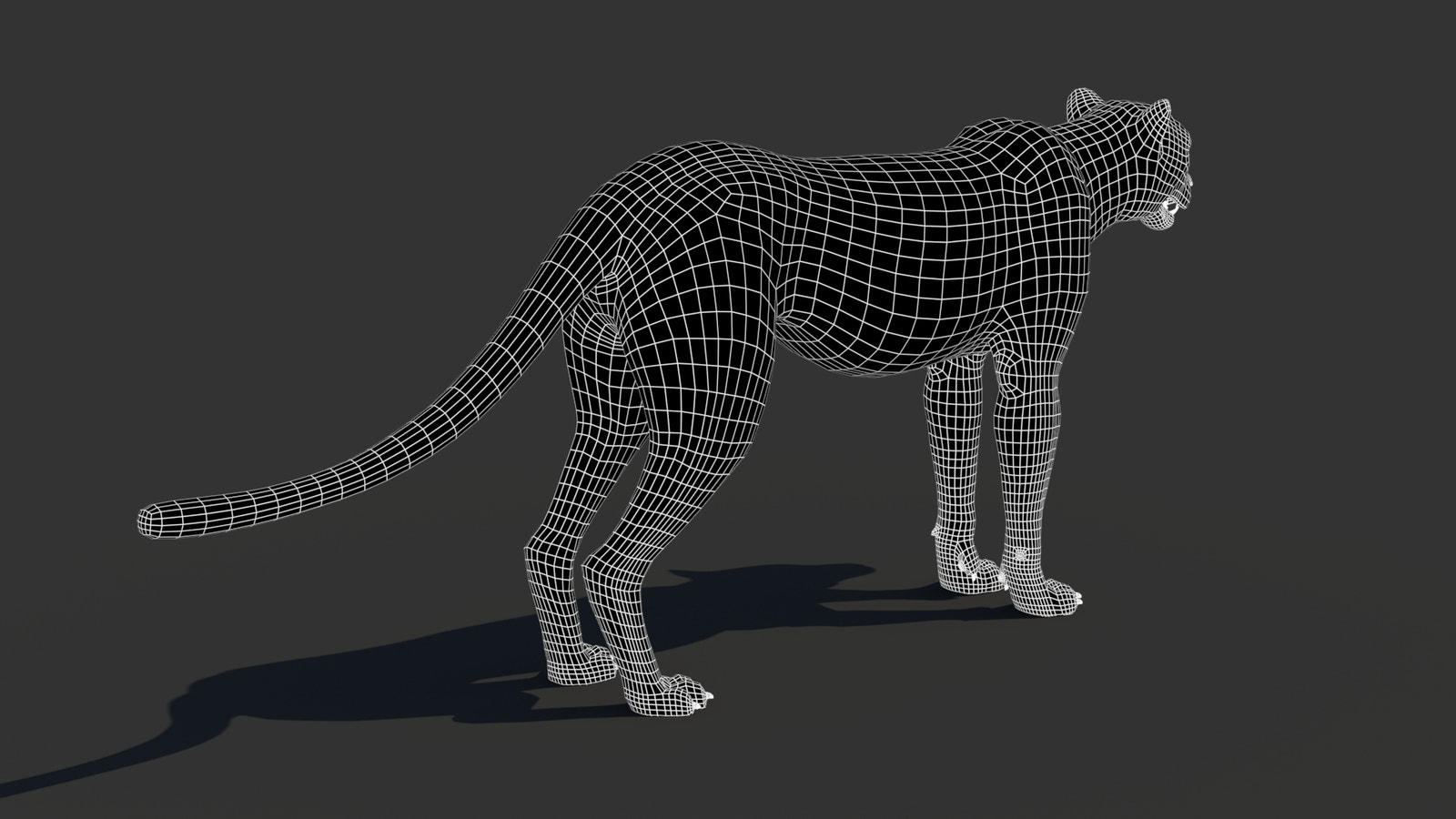 Cheetah 3D Model Wireframe – Subdivision 0
