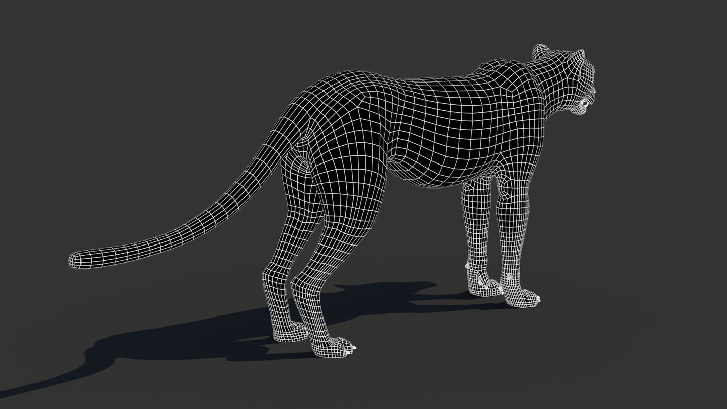 Cheetah 3D Model