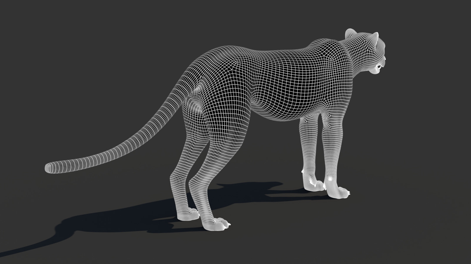 Cheetah 3D Model Wireframe – Subdivision 1