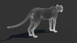 Cheetah 3D Model Wireframe – Subdivision 1 Thumbnail