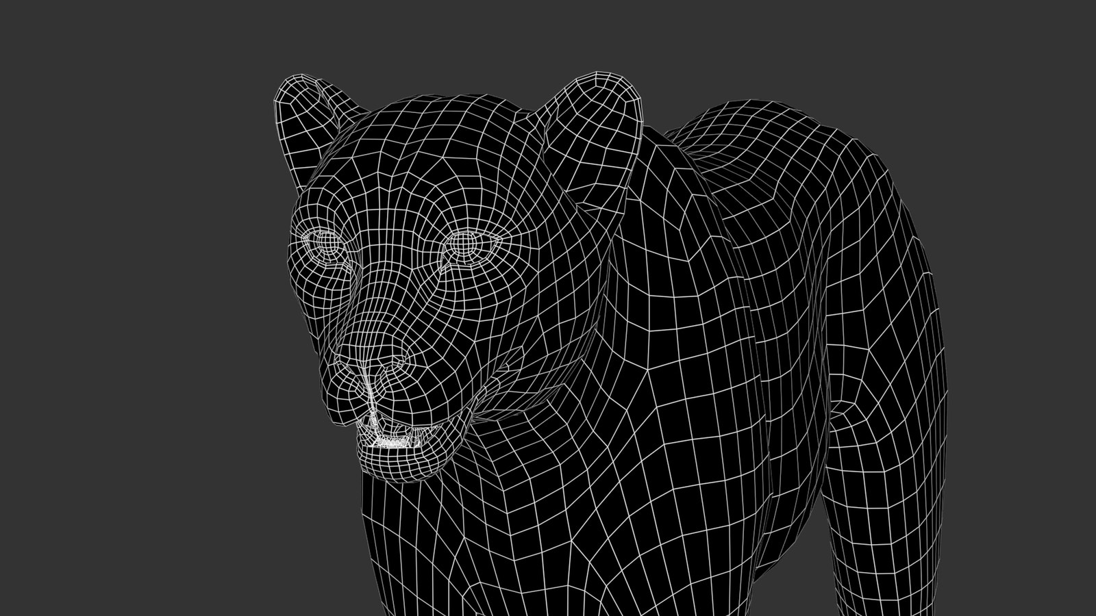 3D Cheetah Model – Head Close-Up wireframe view - subdivision 0
