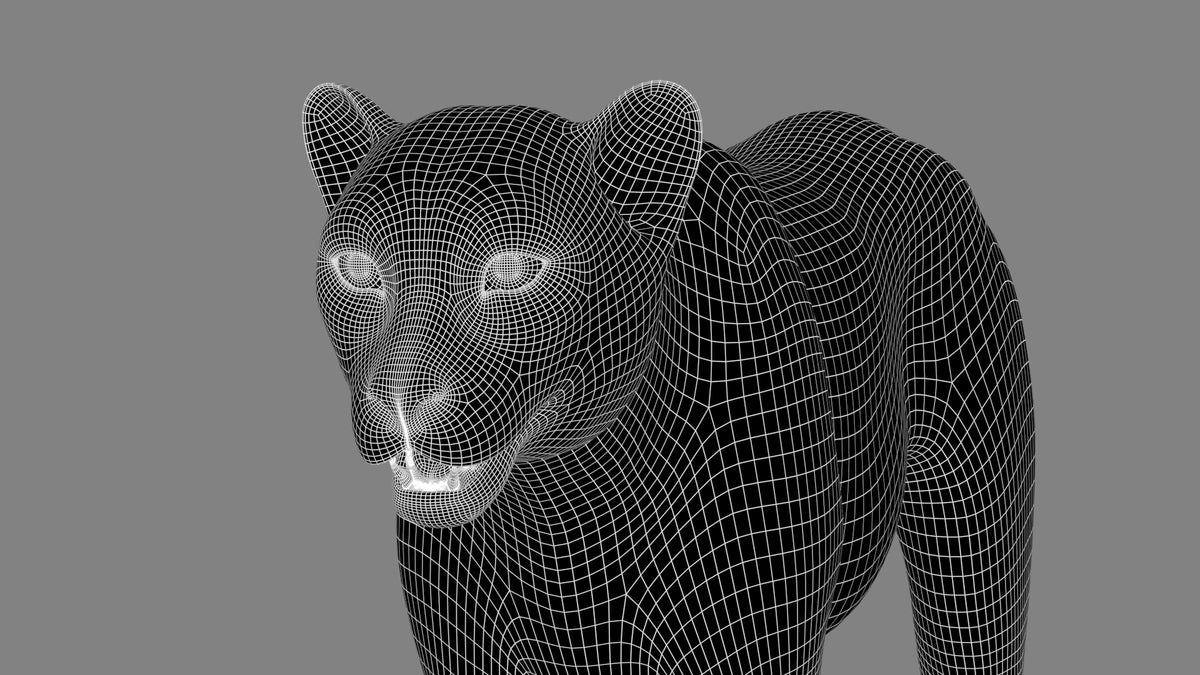 3D Cheetah Model – Head Close-Up wireframe view - subdivision 1