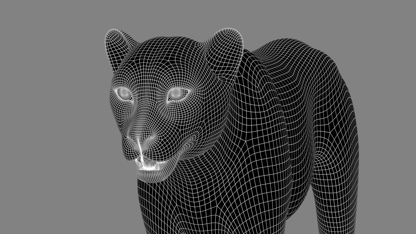 3D Cheetah Model – Head Close-Up wireframe view - subdivision 1