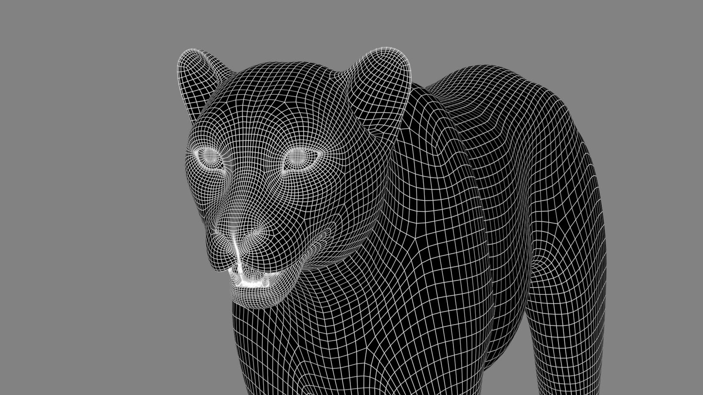 Cheetah 3D Model