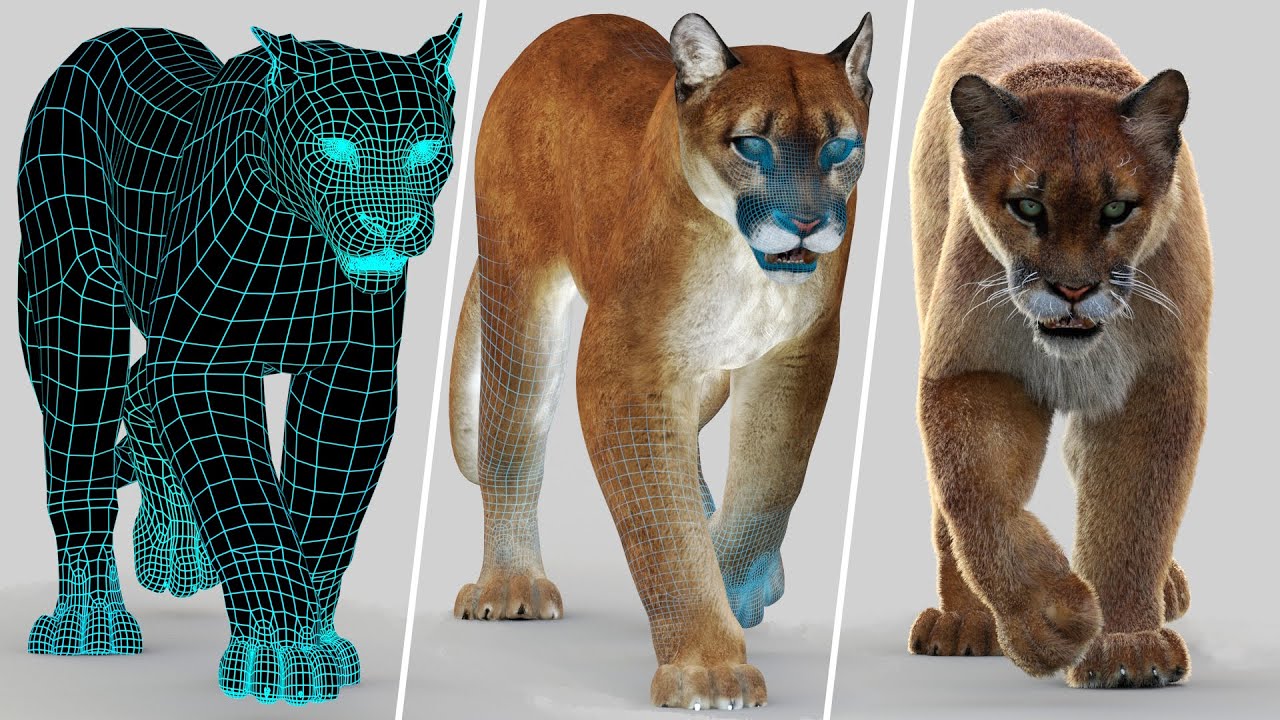 Animated Cougar 3D Model with Fur