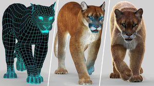 Animated Cougar 3D Model with Fur Thumbnail