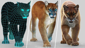 Big Cats Ultimate 3d Models Bundle Thumbnail