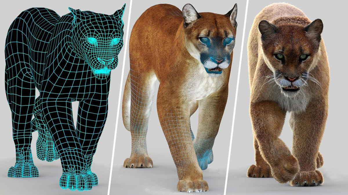 Big Cats Ultimate 3d Models Bundle