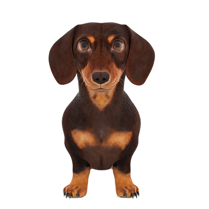 Animated Dachshund Dog 3D Model Fur