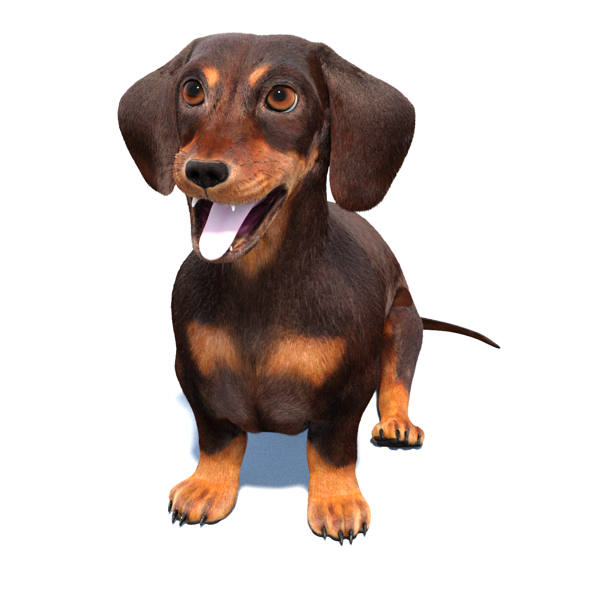 Animated Dachshund Dog 3D Model Fur