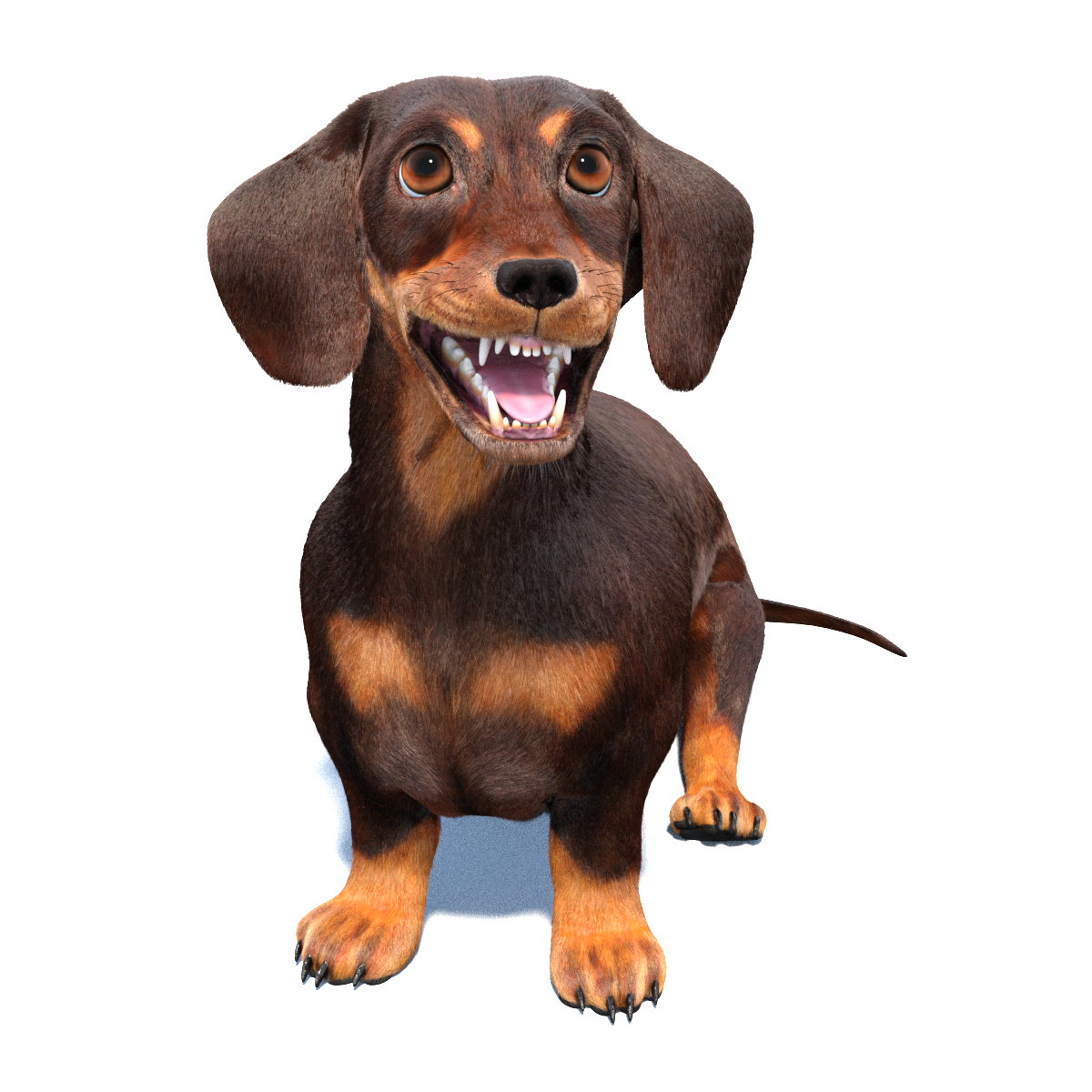 Animated Dachshund Dog 3D Model Fur
