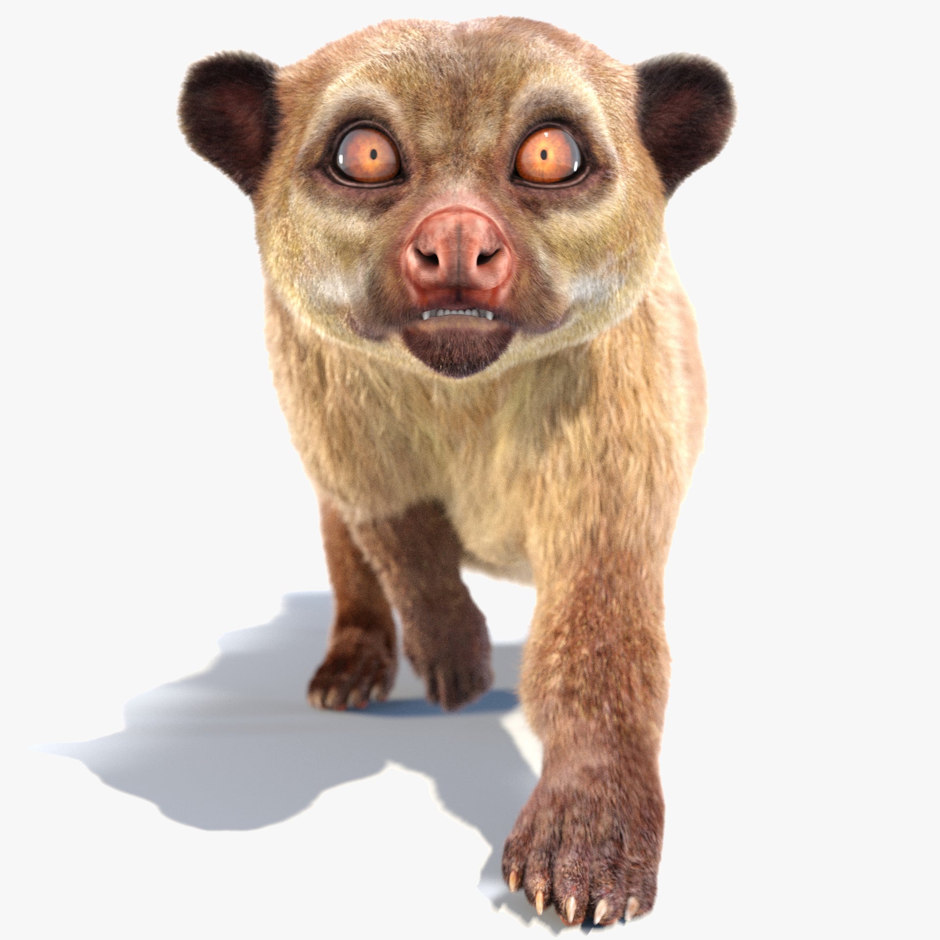 Animated Kinkajou 3D Model with Fur