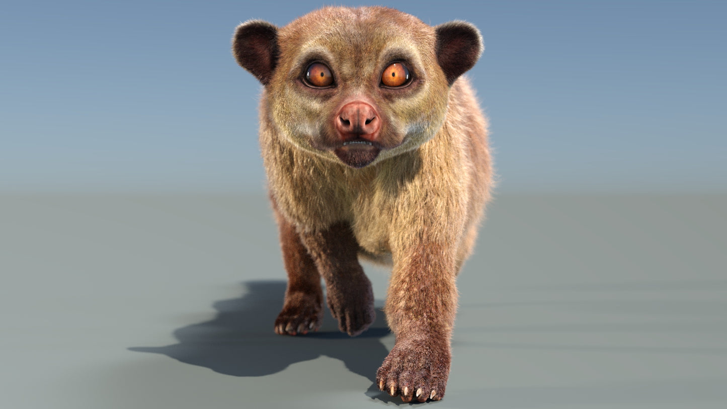 Animated Kinkajou 3D Model Fur