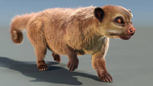 Animated Kinkajou 3D Model with Fur Thumbnail