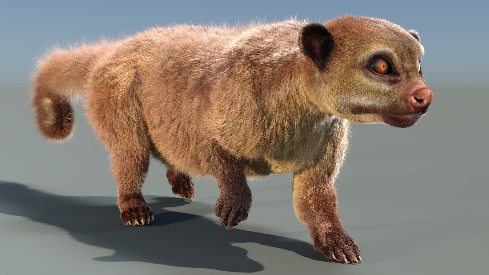 Animated Kinkajou 3D Model with Fur