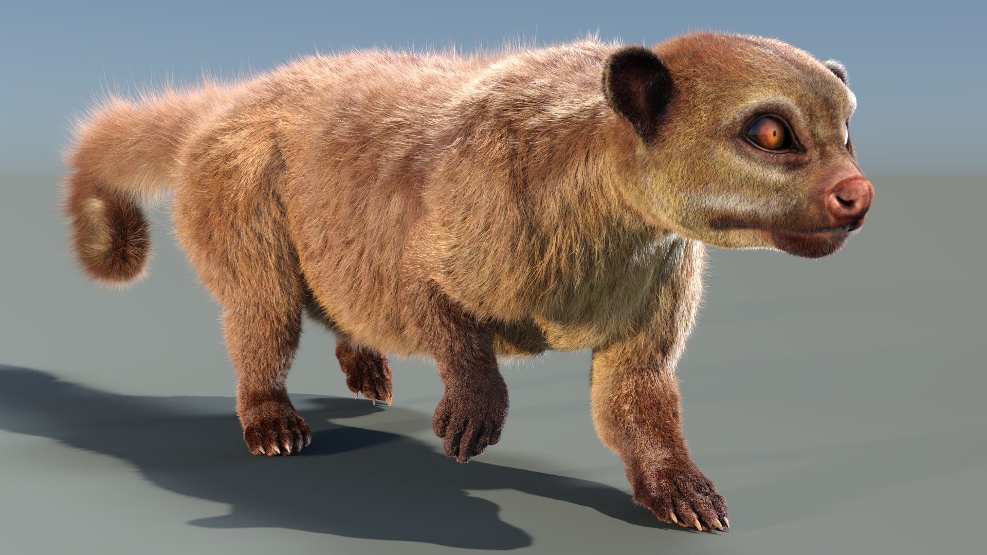 Animated Kinkajou 3D Model with Fur