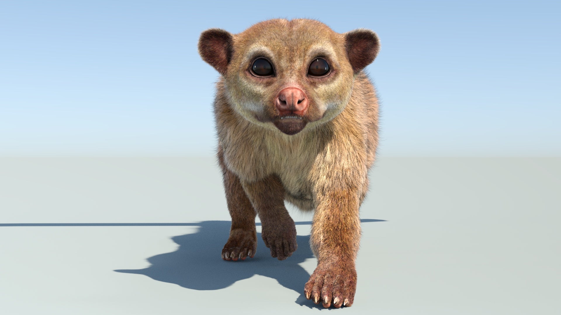 Animated Kinkajou 3D Model with Fur