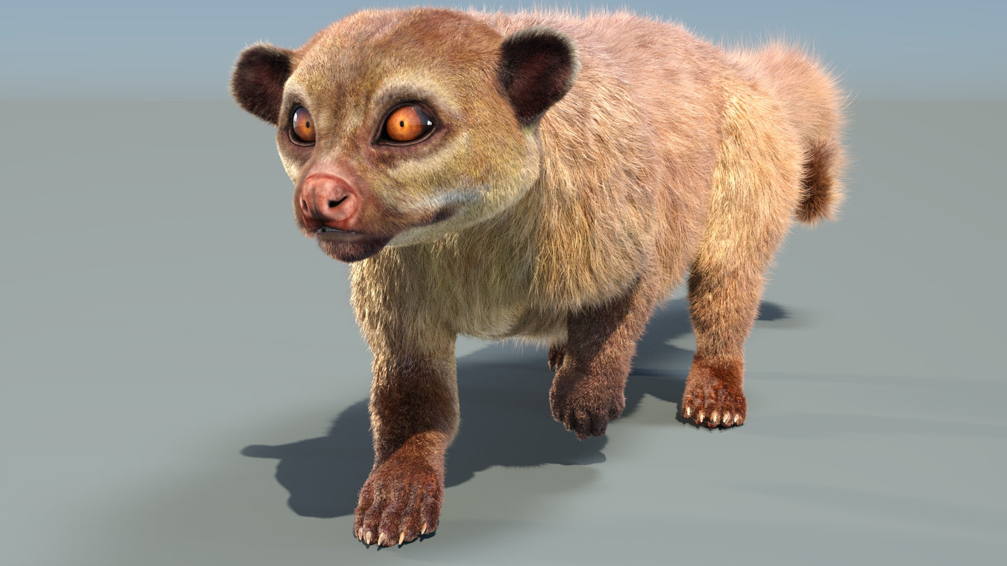 Animated Kinkajou 3D Model Fur