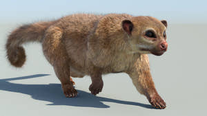 Animated Kinkajou 3D Model with Fur Thumbnail