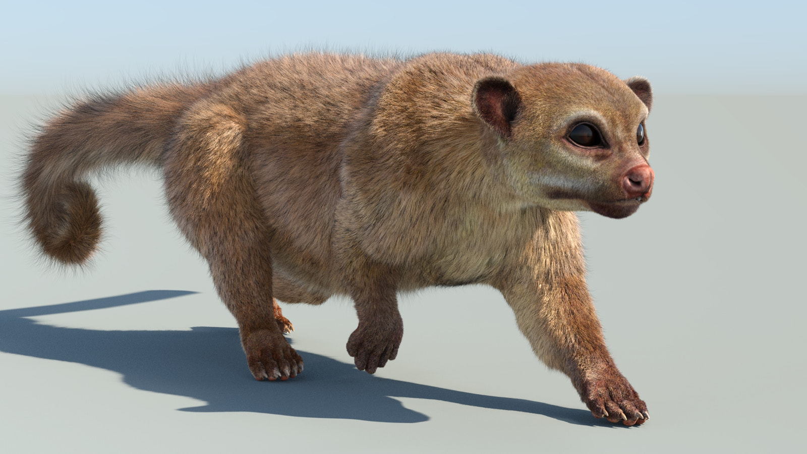 Animated Kinkajou 3D Model with Fur