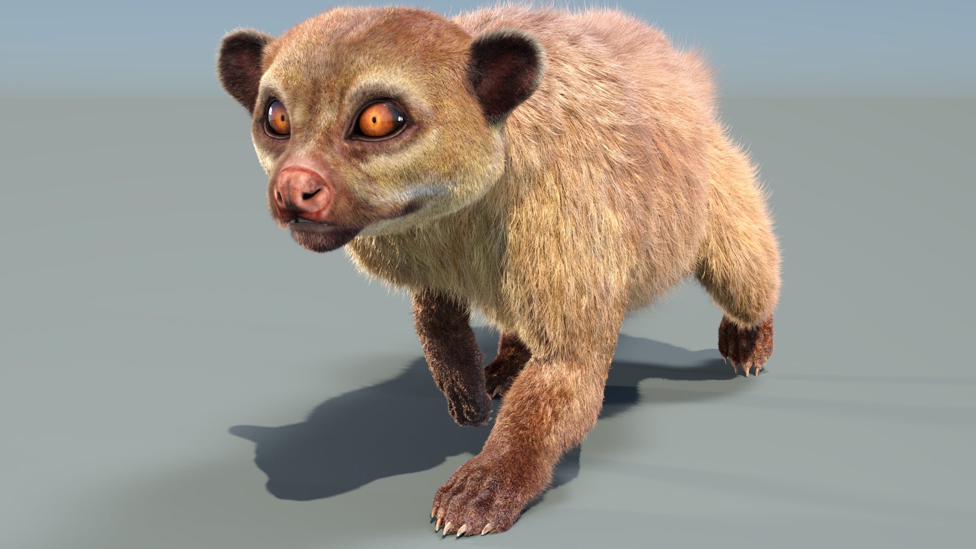 Animated Kinkajou 3D Model with Fur