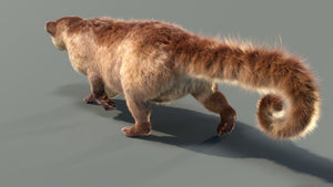 Animated Kinkajou 3D Model with Fur Thumbnail
