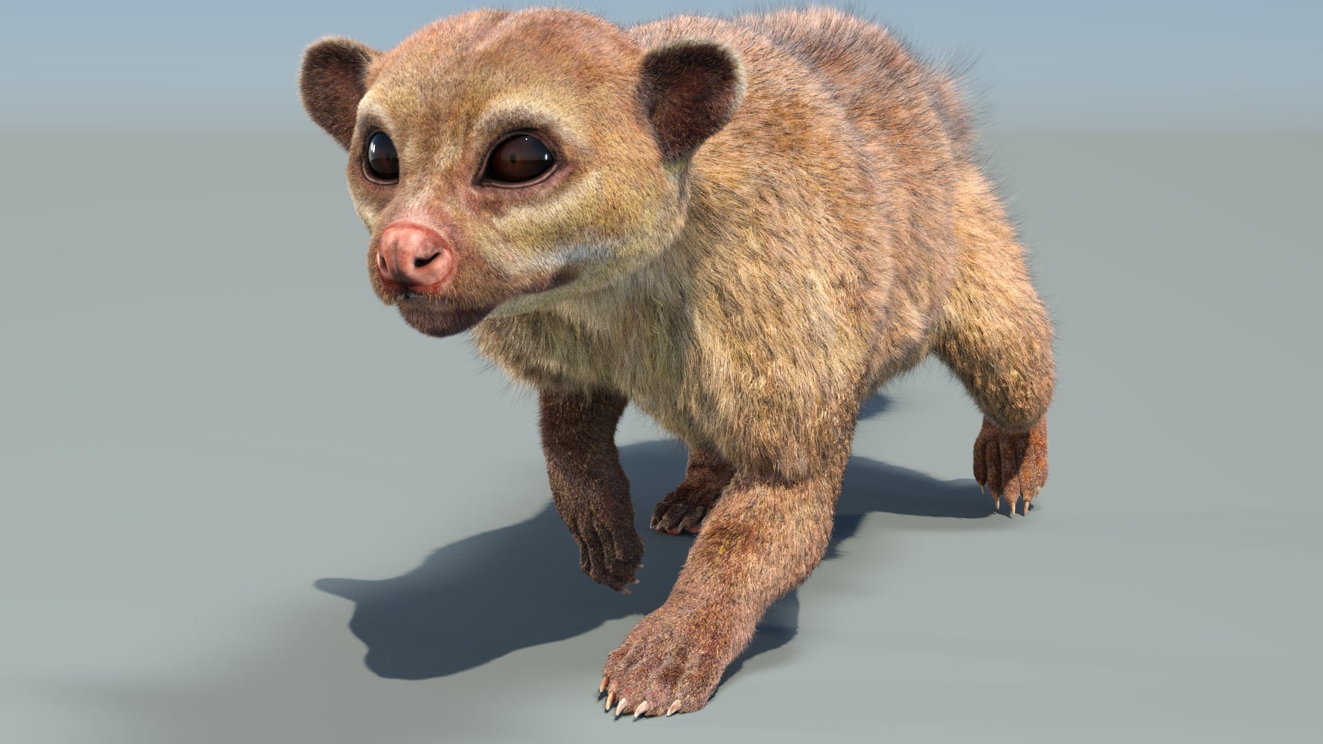 Animated Kinkajou 3D Model with Fur