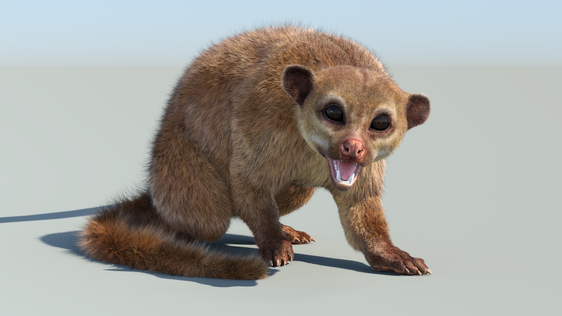 Animated Kinkajou 3D Model with Fur