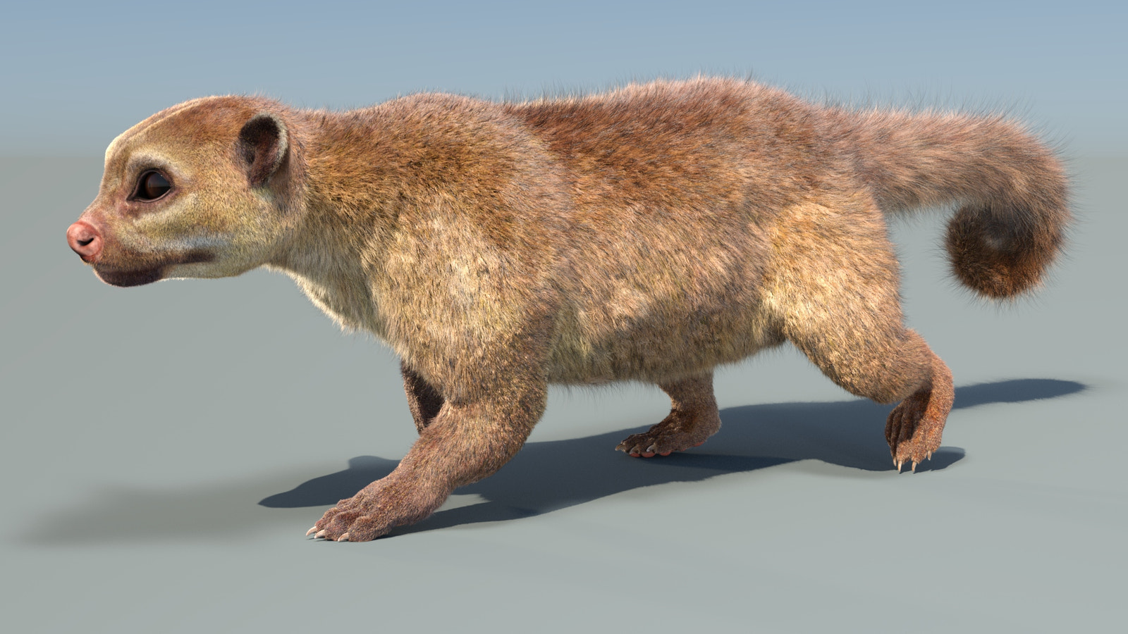 Animated Kinkajou 3D Model with Fur