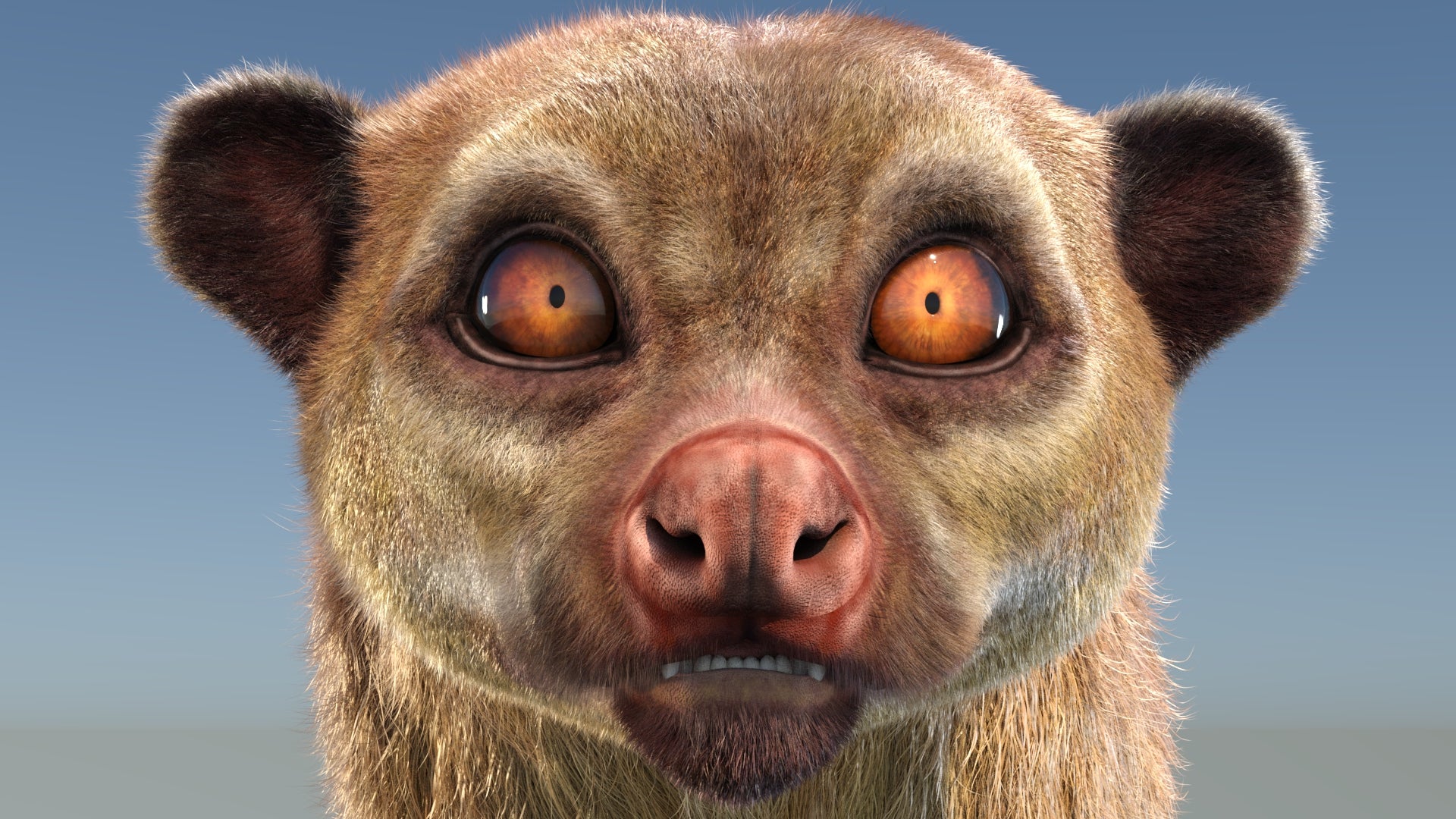 Animated Kinkajou 3D Model with Fur