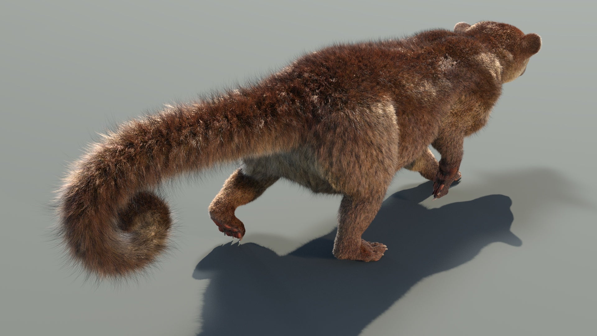 Animated Kinkajou 3D Model with Fur