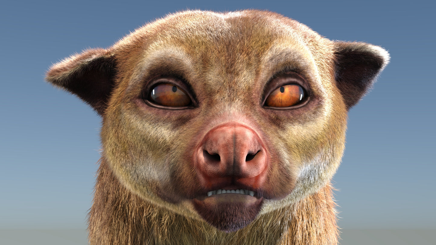 Animated Kinkajou 3D Model Fur