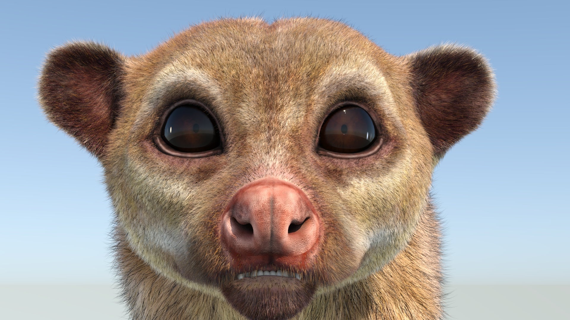 Animated Kinkajou 3D Model with Fur