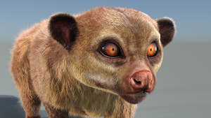 Animated Kinkajou 3D Model with Fur Thumbnail