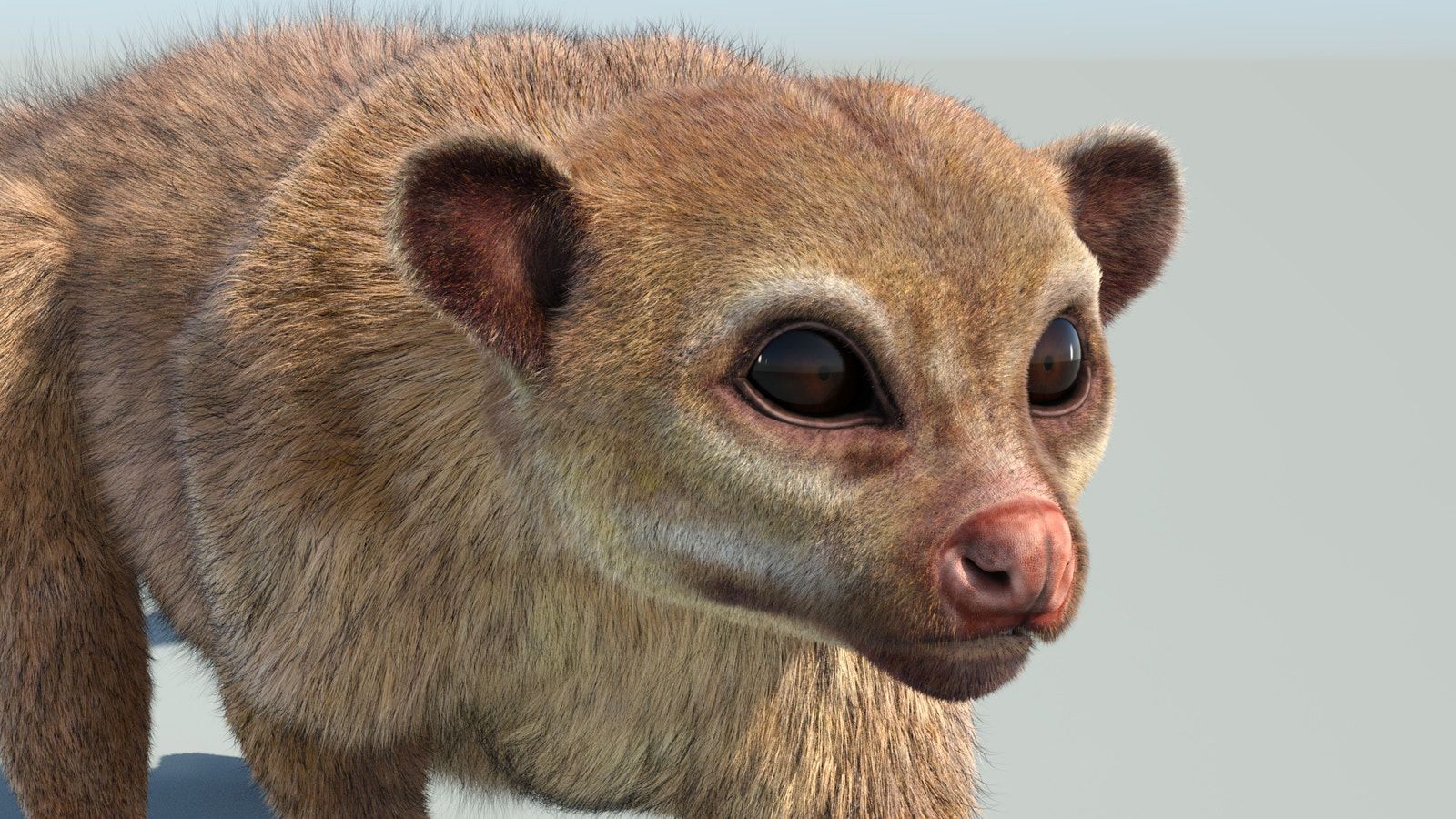 Animated Kinkajou 3D Model with Fur