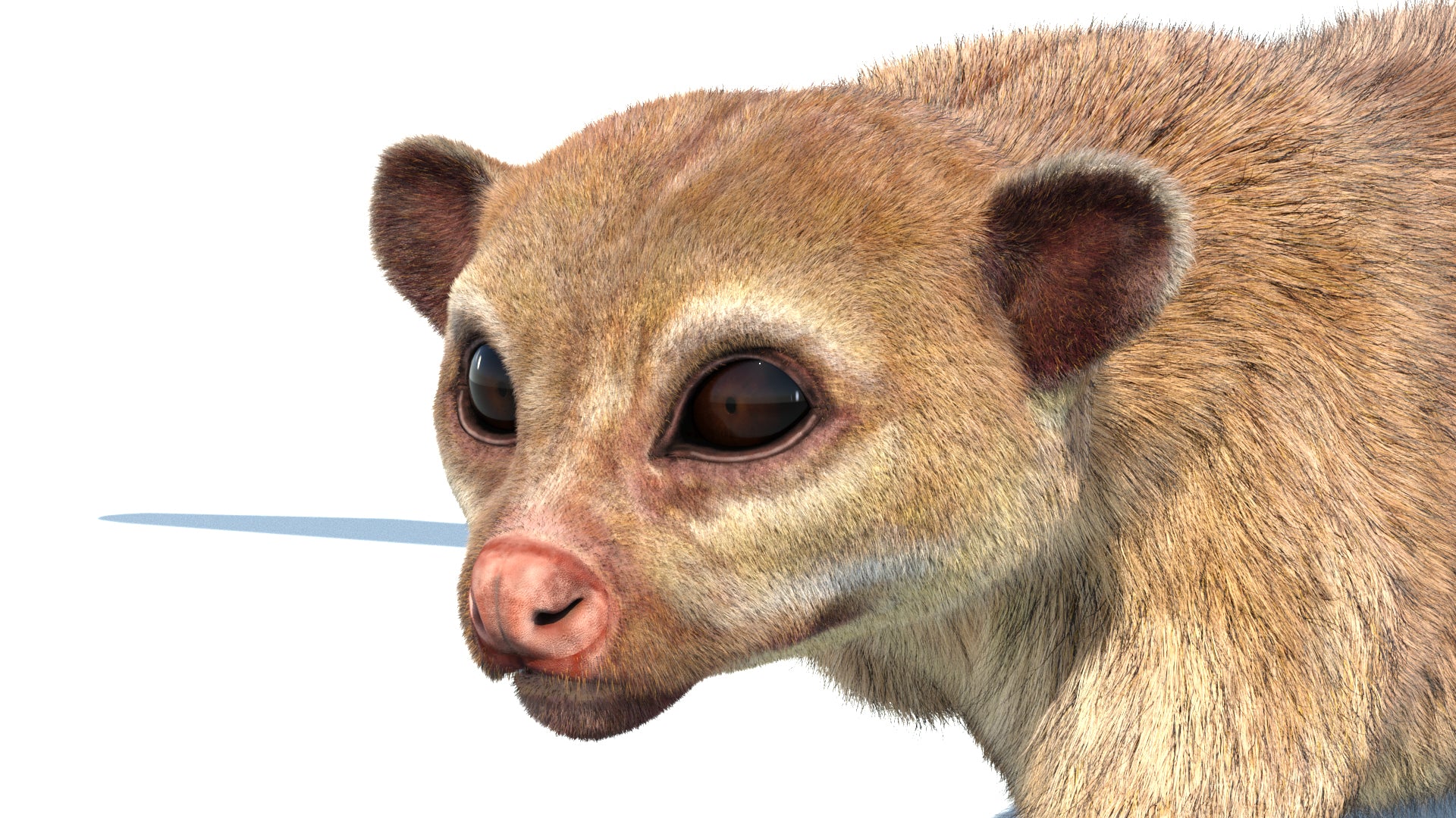 Animated Kinkajou 3D Model with Fur