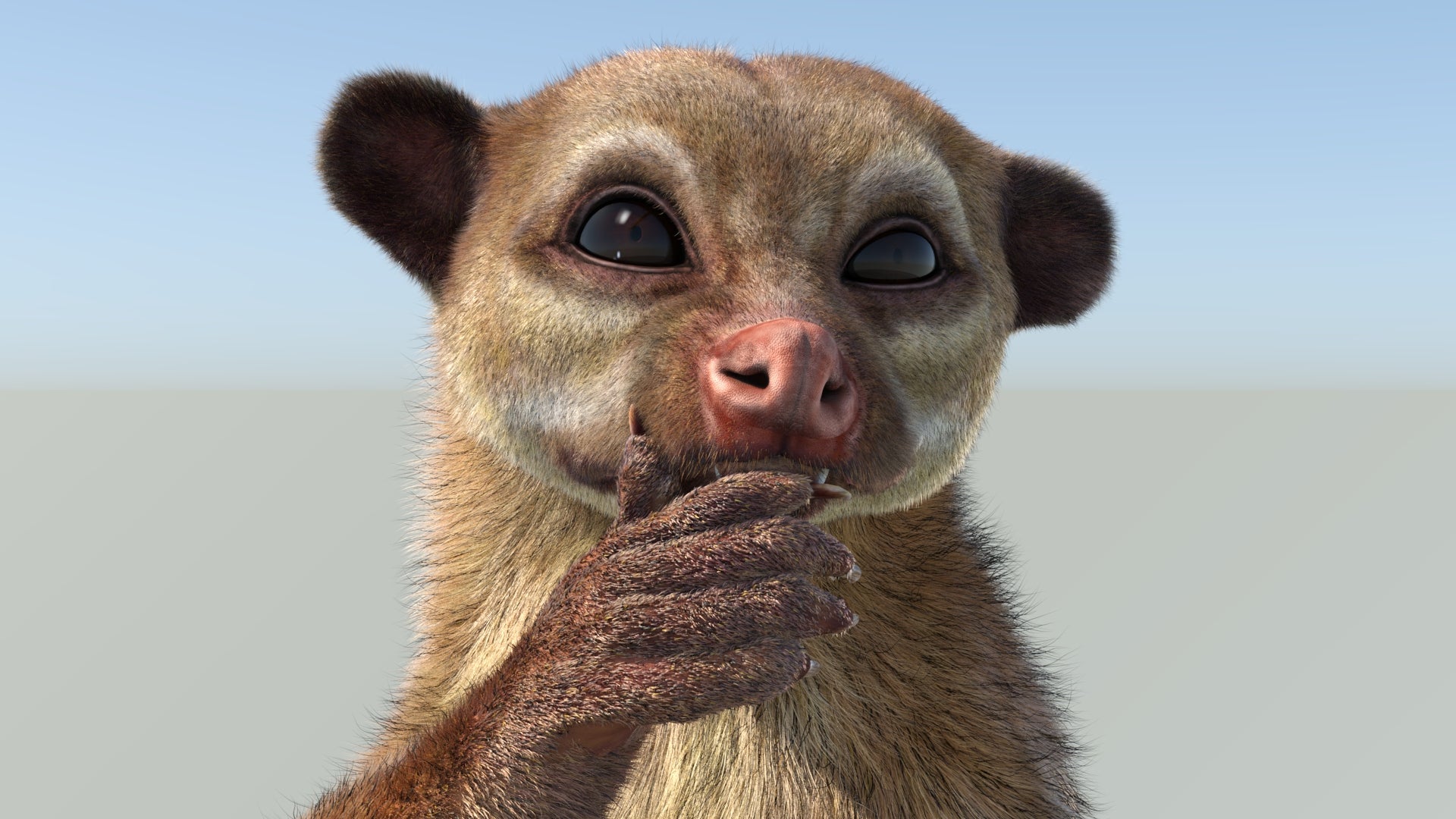 Animated Kinkajou 3D Model with Fur