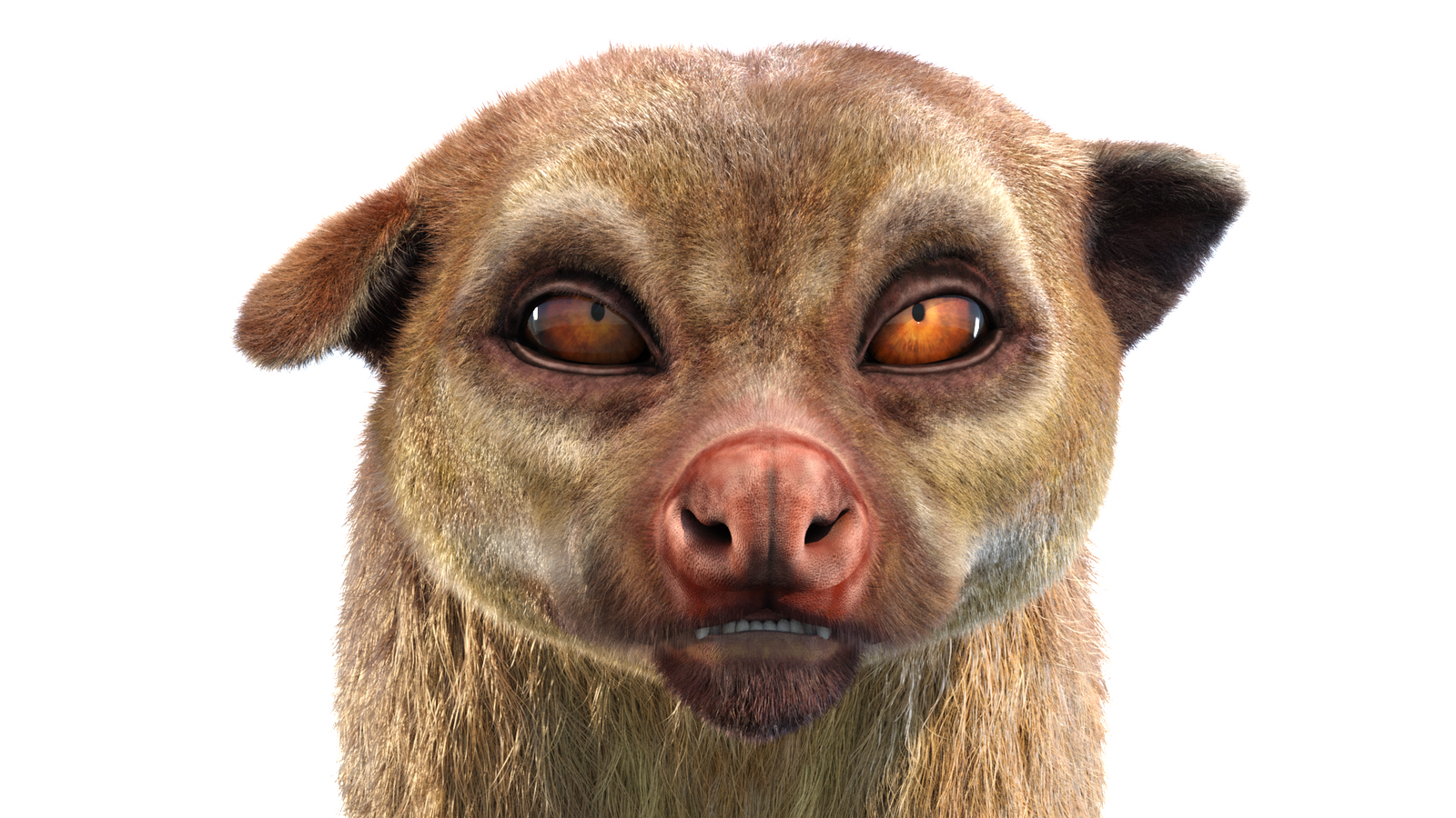 Animated Kinkajou 3D Model with Fur