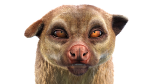 Animated Kinkajou 3D Model with Fur Thumbnail