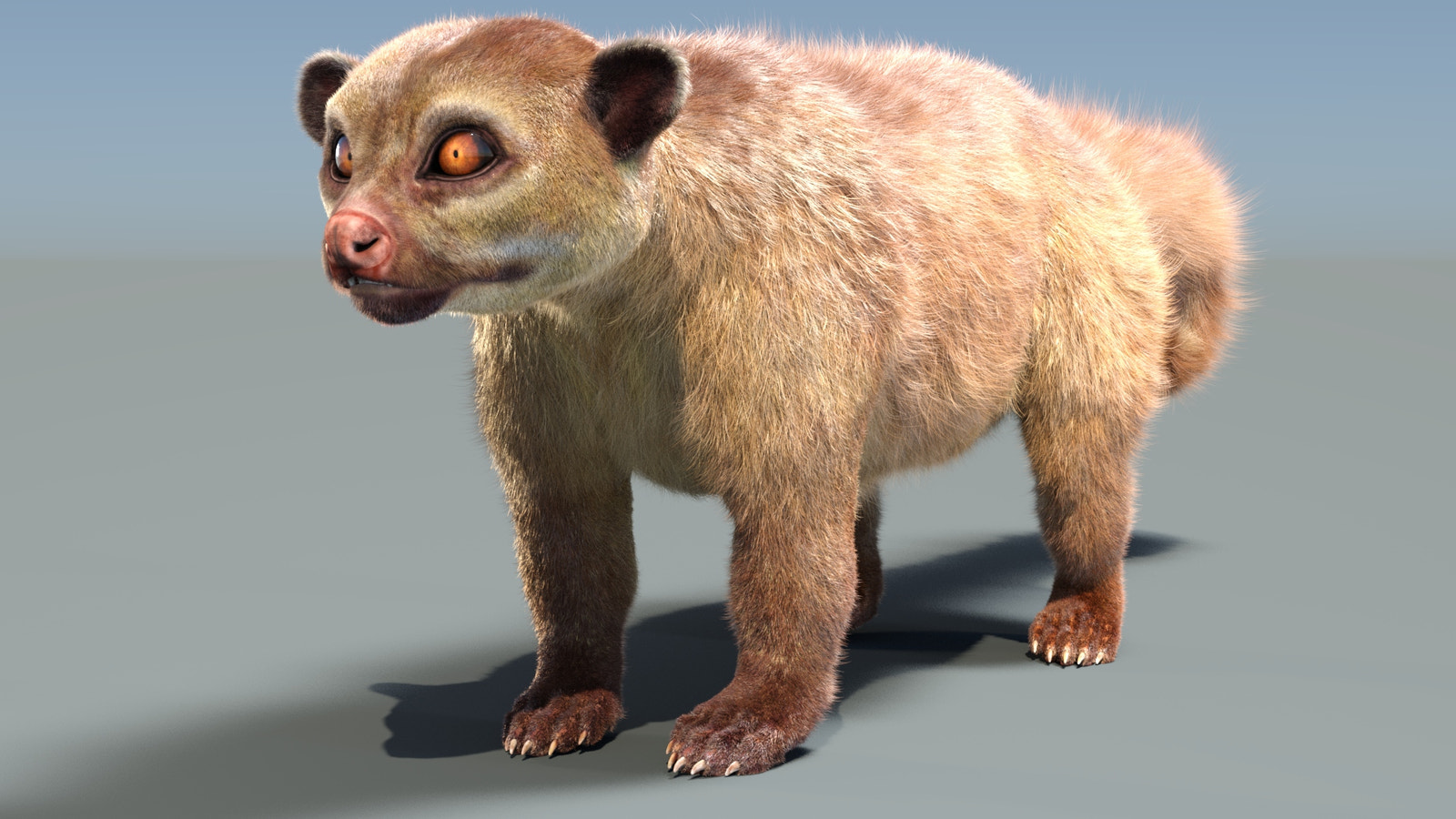 Kinkajou 3D model with realistic groomed hair and fur